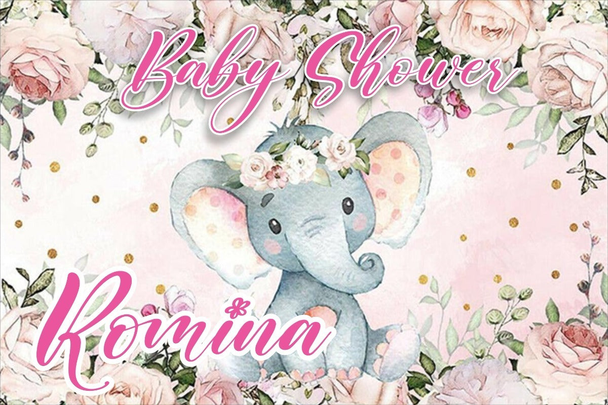 Lona Baby Shower Niña/niño 2m X 1.5m (diseño Grátis)