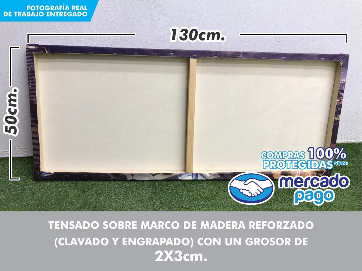 Cuadro Decorativo Impreso En Canvas Calidad Full Hd 110x40